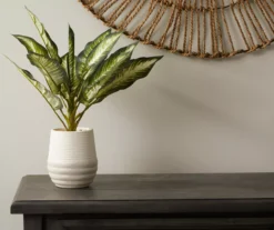 Zebra Plant In Ceramic Pot -Big Lots Furniture Store 810509522 2