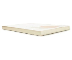 Pink & Gray Potted Plants Framed Canvas 1 Pink & Gray Potted Plants Framed Canvas -Big Lots Furniture Store 810540305 1