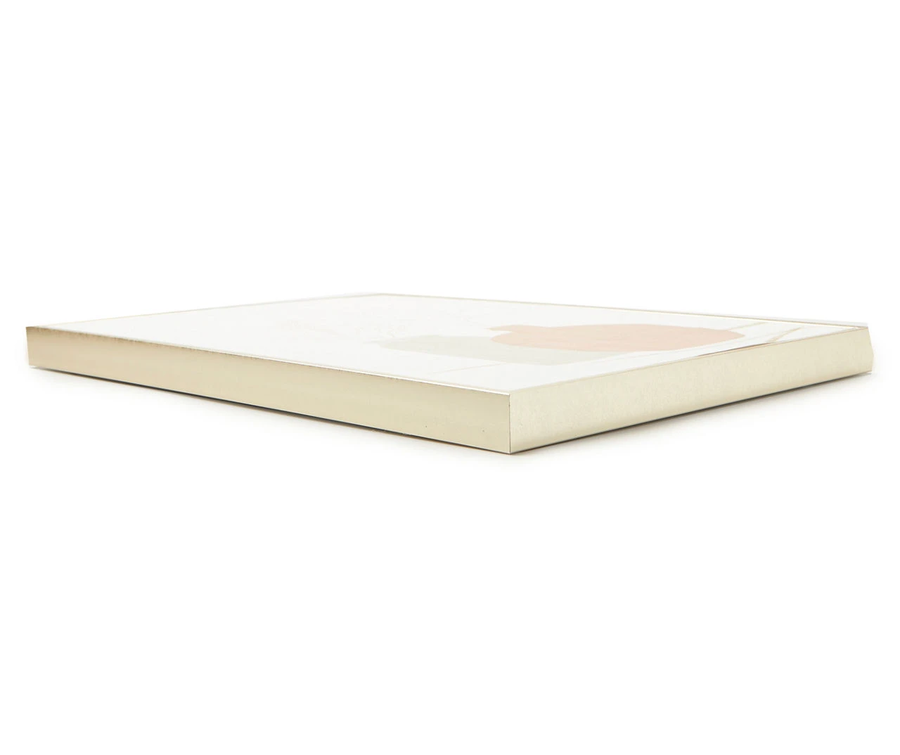 Pink & Gray Potted Plants Framed Canvas Pink & Gray Potted Plants Framed Canvas -Big Lots Furniture Store 810540305 1