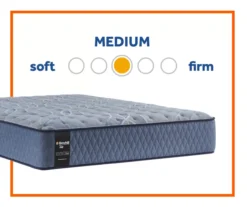 Broyhill By Sealy Galveston Medium Tight Top Mattress -Big Lots Furniture Store 810548958 3