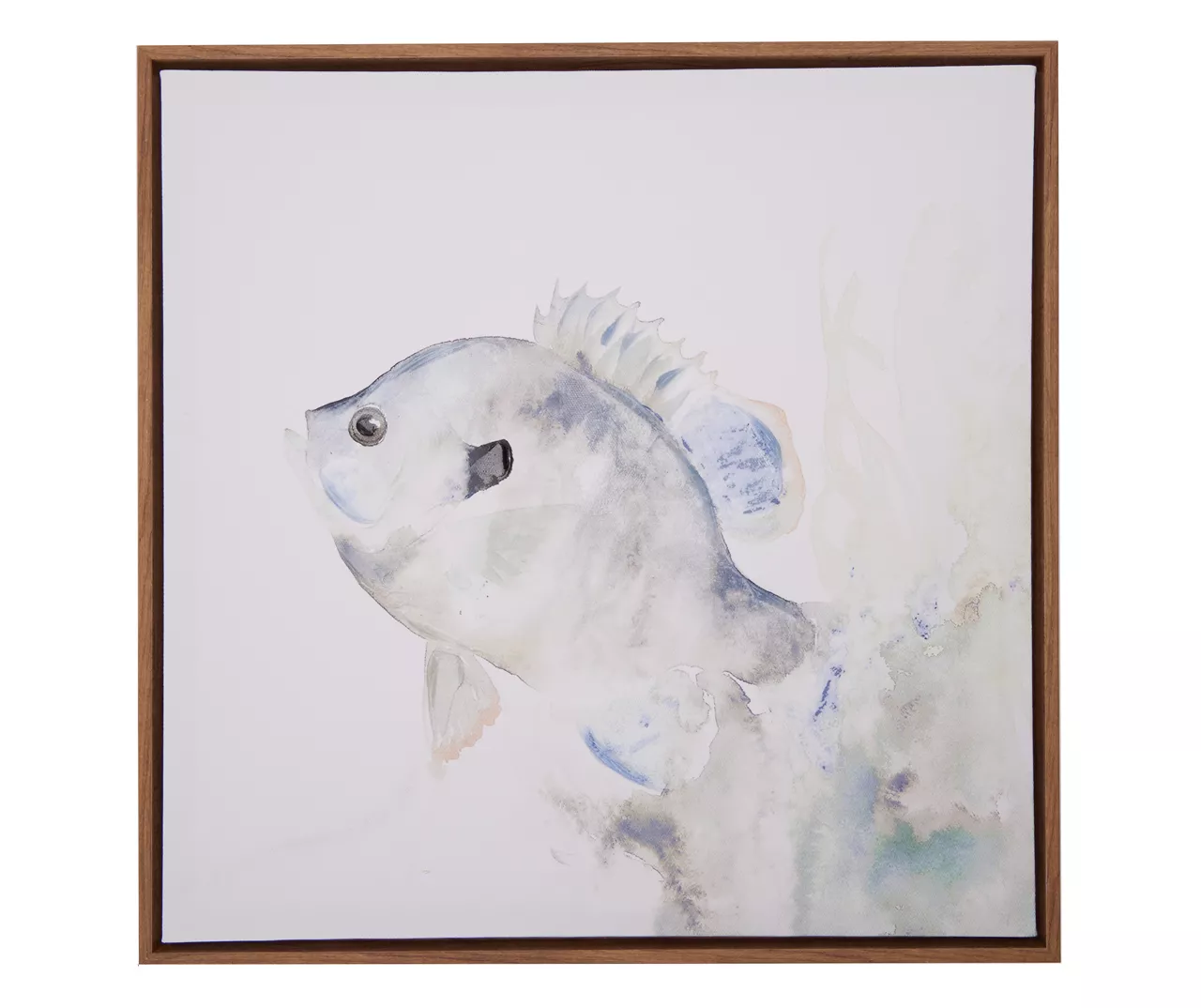 Blue & Brown Fish 2 Framed Canvas Blue & Brown Fish 2 Framed Canvas -Big Lots Furniture Store 810561164