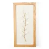 New Beginnings White Capiz Botanical Framed Wall Art