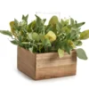 Artificial Greenery With Brown Square Wood Pot & Glass Hurricane