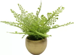 Homeward Artificial Greenery In Gold Cement Pot